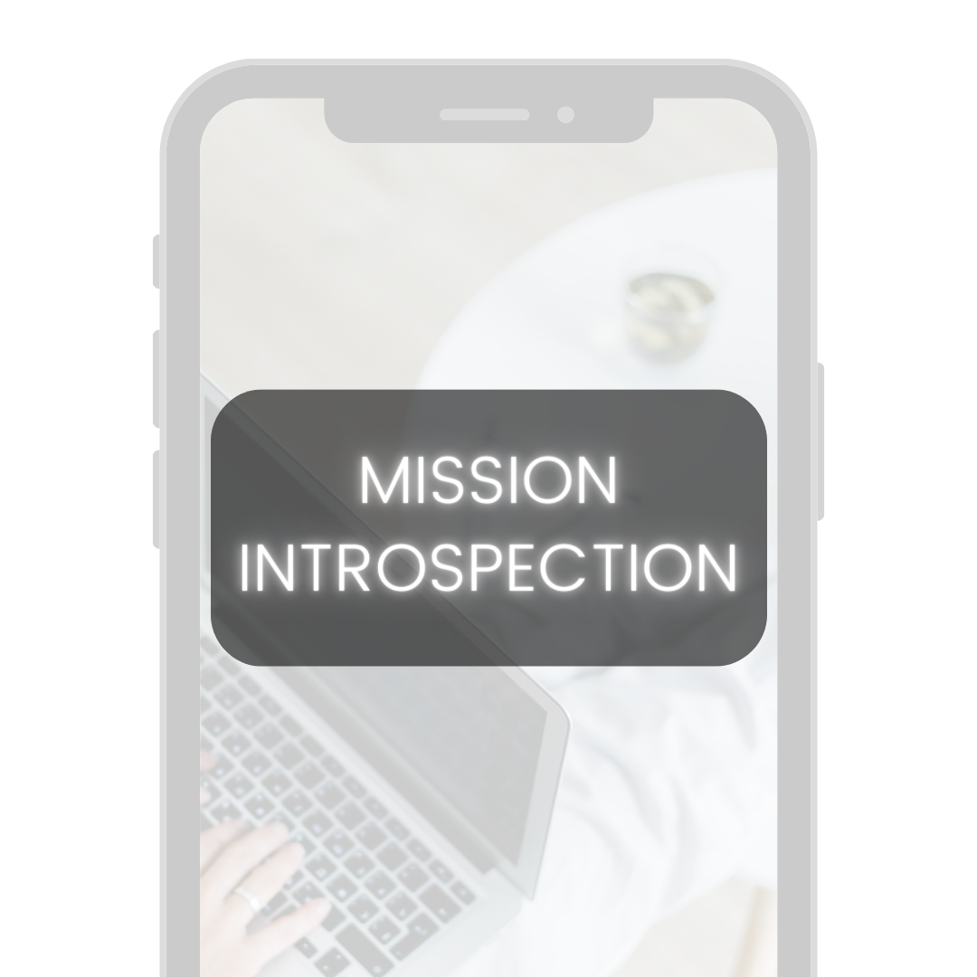 mission introspection